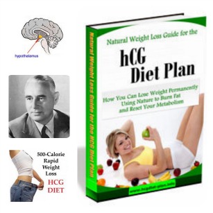how to do hCG diet plan