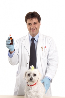 homeopathy for pets