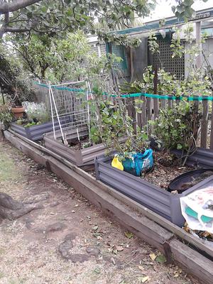 Secret Garden, planting their traditional 'raised beds'was backbreaking... pots and bags are on the way!