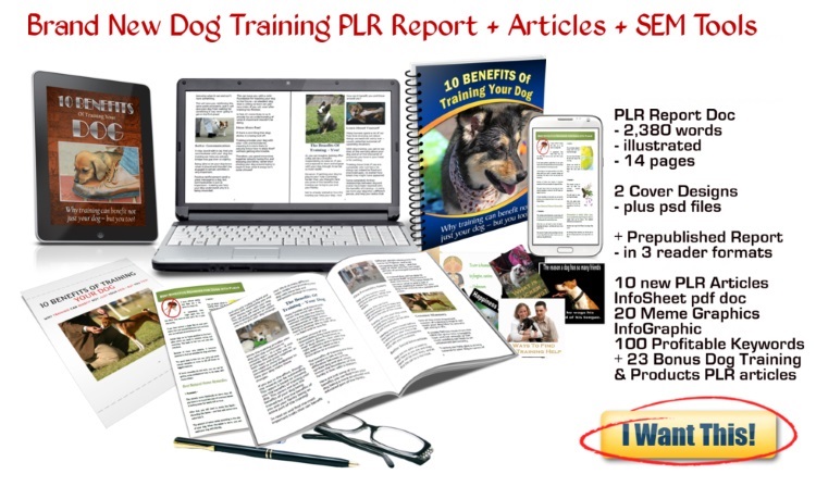 dog training PLR content