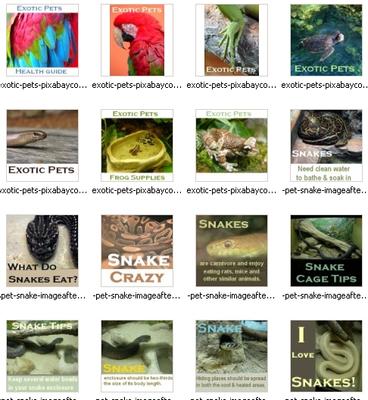 some of the 75 exotic pets graphics in the pack