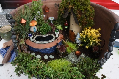 How To Start A Fairy Garden