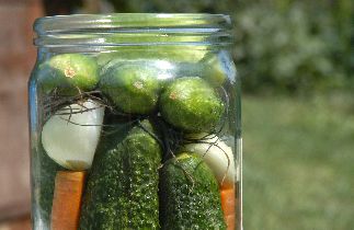 How to Preserve Foods by Canning and Freezing