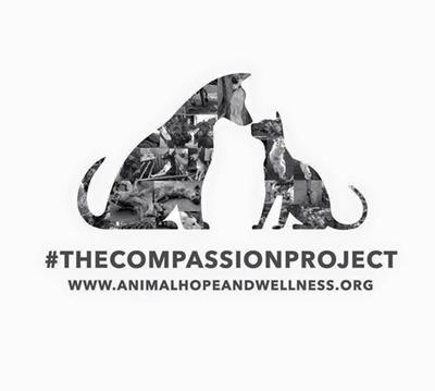 #TheCompassionProject *Compassion Through Action*