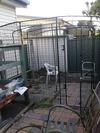 Omlet walk in cat run nearly completed