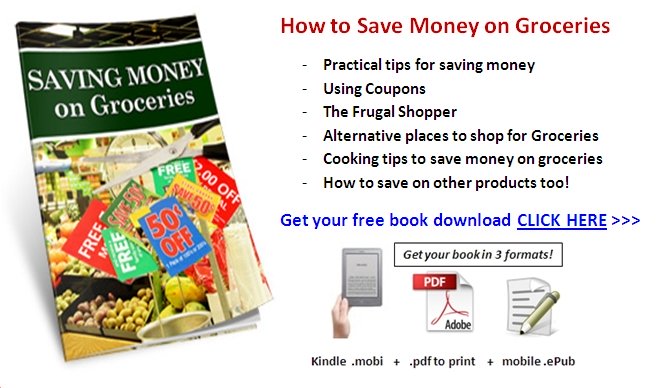 save money on groceries free book