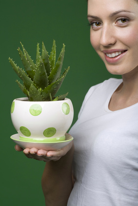 aloe for skin blemishes