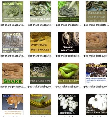 some of the 75 exotic pets graphics in the pack
