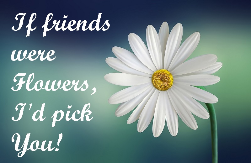 build friendships pick you flowers
