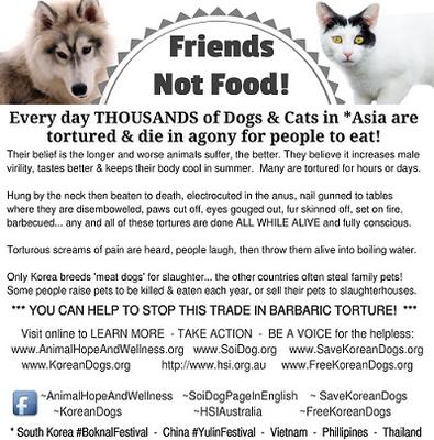 Dogs and Cats are FRIENDS not FOOD! Print and hand out this flyer!