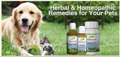 Promote Native Remedy products!