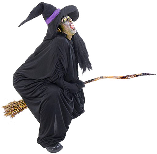 witch with broom halloween costume